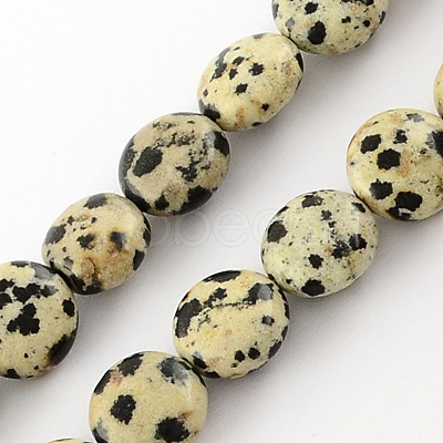 Natural Dalmation Jasper Bead Strands X-G-R189-14-1