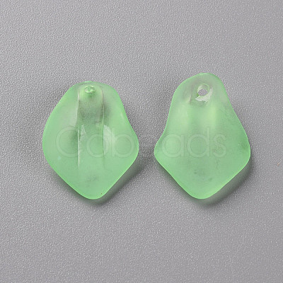 Transparent Frosted Acrylic Pendants MACR-S371-03A-733-1