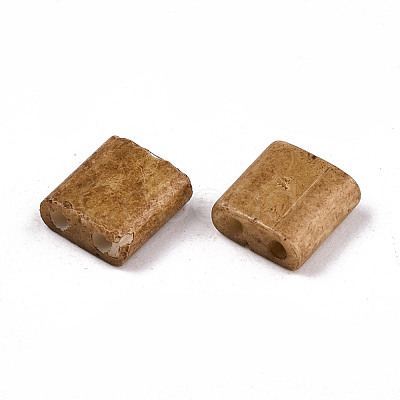 FGB 2-Hole Glass Seed Beads SEED-S031-L-ST1004F-1
