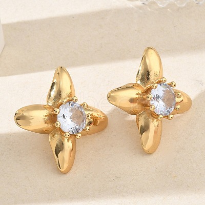304 Stainless Steel Pave Cubic Zirconia Stud Earrings SA-CBA2696-30G-01-1