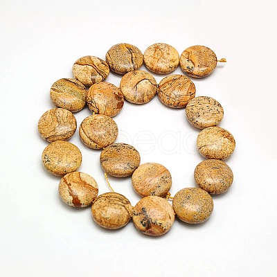 Natural Flat Round Picture Jasper Beads Strands G-L246-17-1