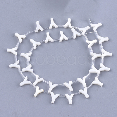 Natural Freshwater Shell Beads SHEL-T012-59Y-1