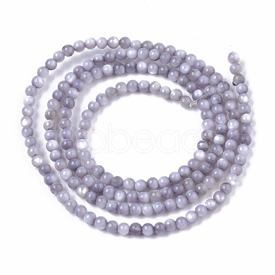 Natural Freshwater Shell Beads Strands BSHE-T009-01A-1