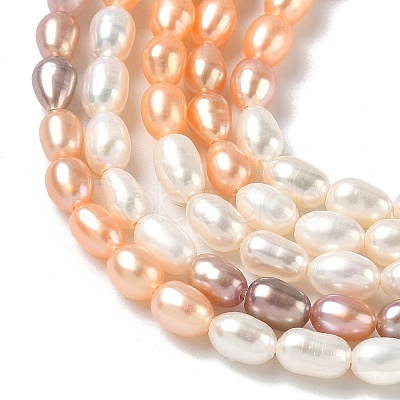 Natural Cultured Freshwater Pearl Beads Strands PEAR-C004-14B-1