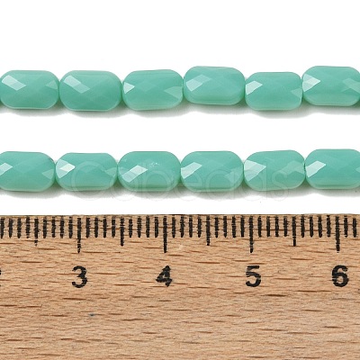 Opaque Glass Beads Strands GLAA-Z018-D21-1