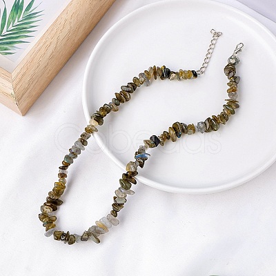 Natural Labradorite Chips Bead Necklace PW-WG87743-06-1