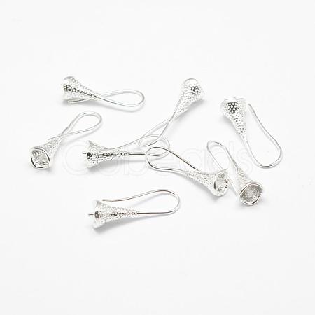 Brass Earring Hooks KK-F714-04S-1