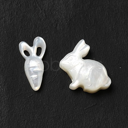 Natural Freshwater Shell Beads Sets BSHE-E026-10-1
