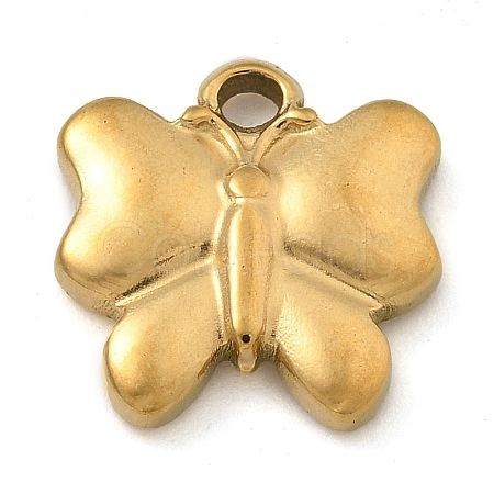 304 Stainless Steel Charms STAS-M084-01E-G-1