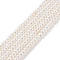 Electroplated Shell Pearl Beads Strands, Rondelle, Antique White, 5x4mm, Hole: 1mm, about 114pcs/strand, 15.63 inch(39.7cm)