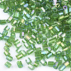 FGB Grade A Glass Seed Beads SEED-S022-05G-2
