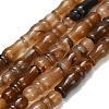 Natural Agate Beads Strands G-Z144-A02-01A-2