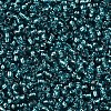 12/0 Glass Seed Beads SEED-A005-2mm-51A-3