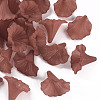 Transparent Acrylic Beads BSF796-C06-1