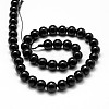 Natural Black Tourmaline Beads Strands X-G-P132-16-8mm-2
