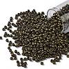 TOHO Round Seed Beads X-SEED-TR08-0702-1