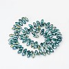 Electroplate Glass Beads Strands EGLA-J068-AB03-2