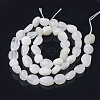 Natural Rainbow Moonstone Beads Strands X-G-Q961-27-3