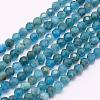 Natural Apatite Beads Strands G-F509-17-4mm-1