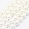 Shell Pearl Beads Strands BSHE-P024-15-1