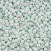 8/0 Opaque Glass Seed Beads SEED-S048-N-007-3