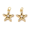 Ion Plating(IP) 304 Stainless Steel Rhinestone Pendants STAS-Q333-10G-01-1