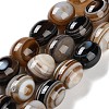 Natural Eye Agate Beads Strands G-NH0019-C04-07-1