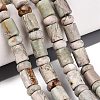 Natural Variscite Beads Strands G-Q616-09J-1