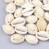 Cowrie Shell Links connectors X-SSHEL-Q310-01B-02-1