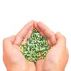 12/0 Glass Seed Beads SEED-X0050-2mm-03-5