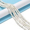 Natural Howlite Beads Strands G-E604-A01-B-2