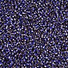 12/0 Glass Seed Beads SEED-S005-32-3