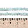 Natural Freshwater Shell Dyed Beads Strands SHEL-R100-11A-03-4