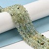 Natural Prehnite Beads Strands G-S333-6mm-032-6