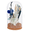 Glass Dome Cover AJEW-PH0004-19C-8