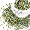 12/0 Glass Seed Beads SEED-S005-34-1