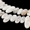 Natural Moonstone Beads Strands G-M408-D03-4