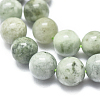 Natural Myanmar Jade/Burmese Jade Beads Strands G-D0001-08-10mm-3