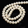 Natural Cultured Freshwater Pearl Beads Strands X-PEAR-L001-F-07-3
