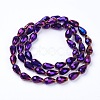 Electroplate Glass Beads Strands X-EGLA-D017-15x10mm-6-2