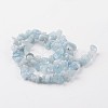 Chip Natural Aquamarine Bead Strands G-M349-12-2