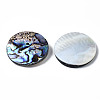 Natural Abalone Shell/Paua Shell Cabochons SSHEL-N034-85-3