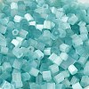 Glass Seed Beads SEED-H002-D-A812-3