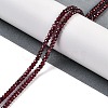 Natural Garnet Beads Strands G-H071-A02-01-2