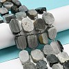 Natural Eagle Eye Stone Beads Strands G-G072-B01-01-2