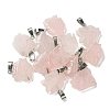 Natural & Synthetic Mixed Gemstone Pendants G-B127-16P-2
