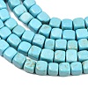 Natural Magnesite Beads Strands G-Z143-C01-01-4