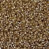 MIYUKI Delica Beads SEED-J020-DB2155-3