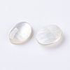 Shell Cabochons X-G-L470-15-2