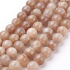 Natural Sunstone Beads Strands G-G099-10mm-14-1